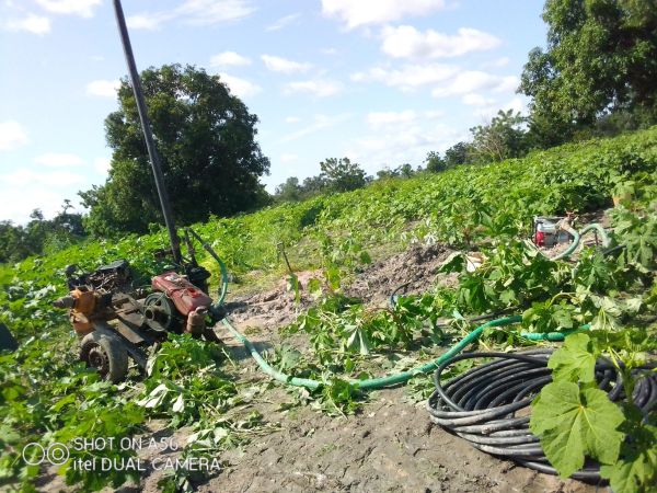 BOREHOLE DRILLING SERVICE IN THE GAMBIA